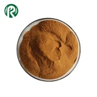 European Hop Flower Extract / Humulus Lupulus Extract