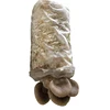 /product-detail/oyster-mushrooms-1kg-seeds-spawn-for-growing-62316999167.html