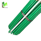 High Quablity PVC Coated Bamboo Poles for Supporting Olive Trees