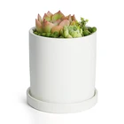 White Home Decoration Round shape Ceramic Plants Flower Pot for Desktop