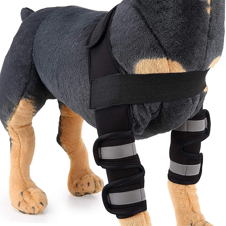 Großhandel hunde schutzausrüstung Kaufen Sie die besten hunde