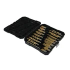 Double Flutes SDS Plus twist point wood drill bit set