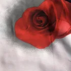 Wholesale Home Textile 3D Printing on 100% Polyester Bedding Fabric