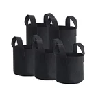 Customized Potato Planter Fabric Grow Row Bag for Plants