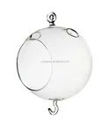 hanging clear borosilicate round glass globe terrarium with double hooks