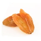 Open Air Dried Raisins White Dried Style and Sliced Shape Best Quality China Dried Golden White Raisins