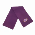 hot sale children winter knitted acrylic scarf with embroidery for kids