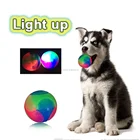 Pet luminous toy bouncy ball bite-resistant plastic toys