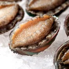 Fresh Natural And Delicious Frozen Abalone Fleshy Plump Seafood