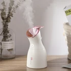 Unique style New Ultraviolet light function inhibits bacterial disinfection usb home office humidifier