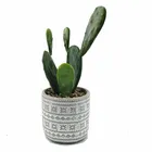 Packaging Customization Plant Artificial Perfect Quality Livingroom Indoor Decorative Cactus Plant Artificial