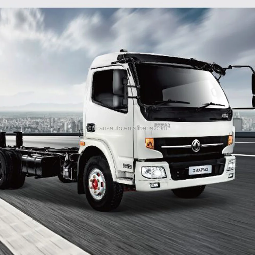 2020 东风轻型商用车