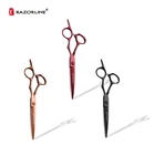 RAZORLINE AK23 2020 Teflon Titanium Color SUS440C Stainless Steel Professional Hair Scissors
