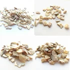Aggregate terrazzo crushed sea shell used as wall tiles decoration material