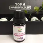 Factory wholesales LAVENDER oil in bulk for cosmetic,fragrance, perfume