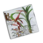 YLNL209 restaurant cocktail dinner napkin,shape napkin