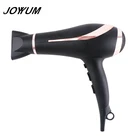 Wholesale salon styling tools electric hair dryer professional