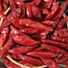 Guochen Red GC1038 Red Dried Pepper Chilli
