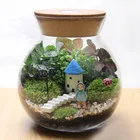 Glass Flowers Vase Creative Succulent Air Plant Clear Glass vase