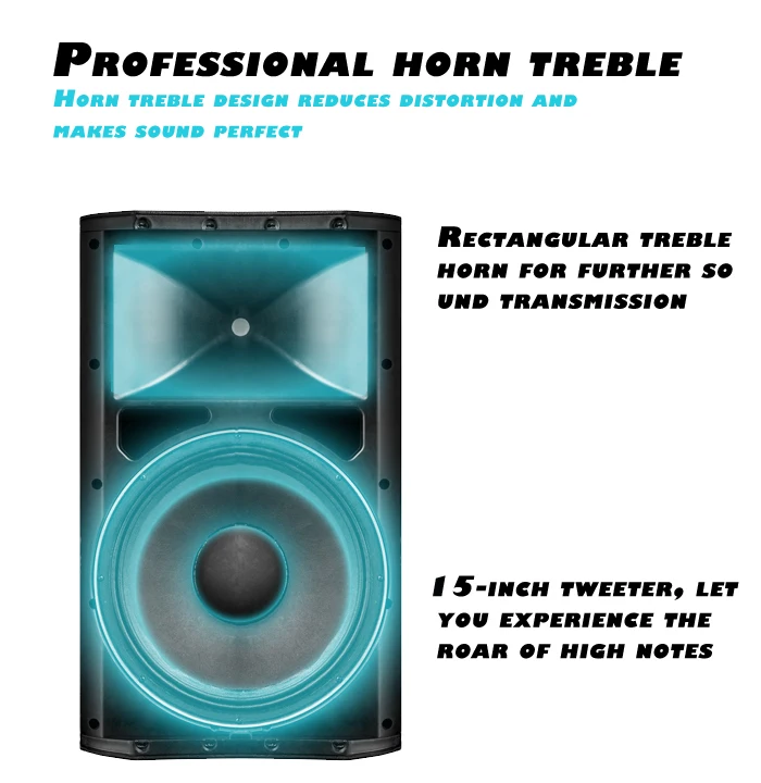 Polinata high power 15 inch subwoofer 350W Built-in DSP system portable speaker professional speaker box with Class D Amplifier - ANKUX.COM