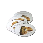 Navigation Dvd Car Navigation Disk CD DVD Replication And Printing