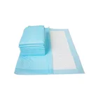Hospital Waterproof 60X90 Super Absorbency Blue Adult Medical Disposable Underpad
