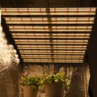 Meijiu highest powerful fluence spydrx 1000 watts lm301b mix 660 full spectrum diy led grow light bar strip