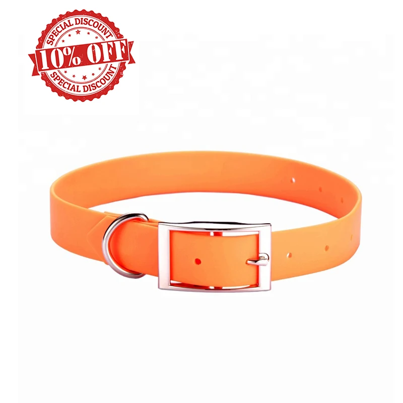 plastic dog collar