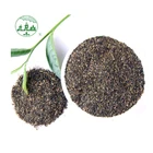 HACCP China Seeds Supplier Tea Sample China Supplier Organic Green Tea Seeds