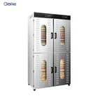 80 Fruit 80 Fruit Dryer LT-023 80 SUS 304 Trays Fruit Dryer For Commercial Usage With Electrical Heating Elements