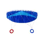 One-Stop Service Flying Power Manufacturers Kite