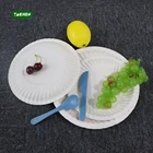 Biodegradable 10'' Sugarcane Cake Plates Disposable Paper Bagasse Plate