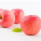Chinese Fresh apples Red Fuji Apple Price
