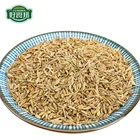 organic best black cumin seeds price cumin seeds buyer