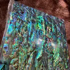 Abalone Shell Soft Natural Abalone Shell Laminate