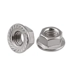 DIN6923 Hex Flange Cap Serrated Lock Nut Stainless Steel OEM Stock Support