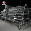 Special Design Best Sale Cheap Chicken Egg Layer Cages in South Africa