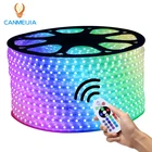 220V Outdoor Flexible 5050 100m RGB Led Strip Light Strip