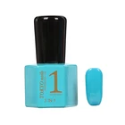 High quality personalized fast dry wholesale salon nail gel polish color