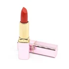 Your Own Brand Custom Label Lipstick Manufacturers Of Lipstick