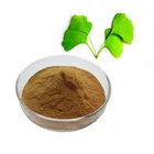 Organic ginkgo biloba leaf powder ginkgo biloba extract 24/6
