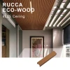 /product-detail/rucca-wood-plastic-composite-ceiling-decoration-factory-direct-sale-suspended-wpc-pvc-panels-design-for-interior-material-using-60339454756.html