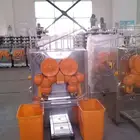 zummo commercial orange juicer machine orange machine juicer juicer orange