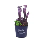 Customized color decorative artificial indoor pitcher plant craft plants with metal pots