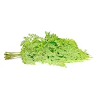 Moringa Oleifera High Quality Natural Moringa Oleifera Leaf Extract 10:1