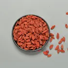 Dried Wolfberry Red Chinese Goji Berry