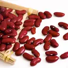 Bean High Quality Dark Red Dehydration Kidney Bean