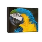 on canvas painting wall art for living room home decorative giclee printing art work wholesale