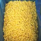 Frozen yellow peach diced with good quality