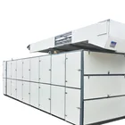 Durable Large Capacity Stainless Steel Mango Drying Machine Continous Fruit Mesh Belt Dryer